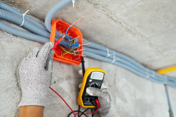 Best Electric Panel Repair  in Earlham, IA
